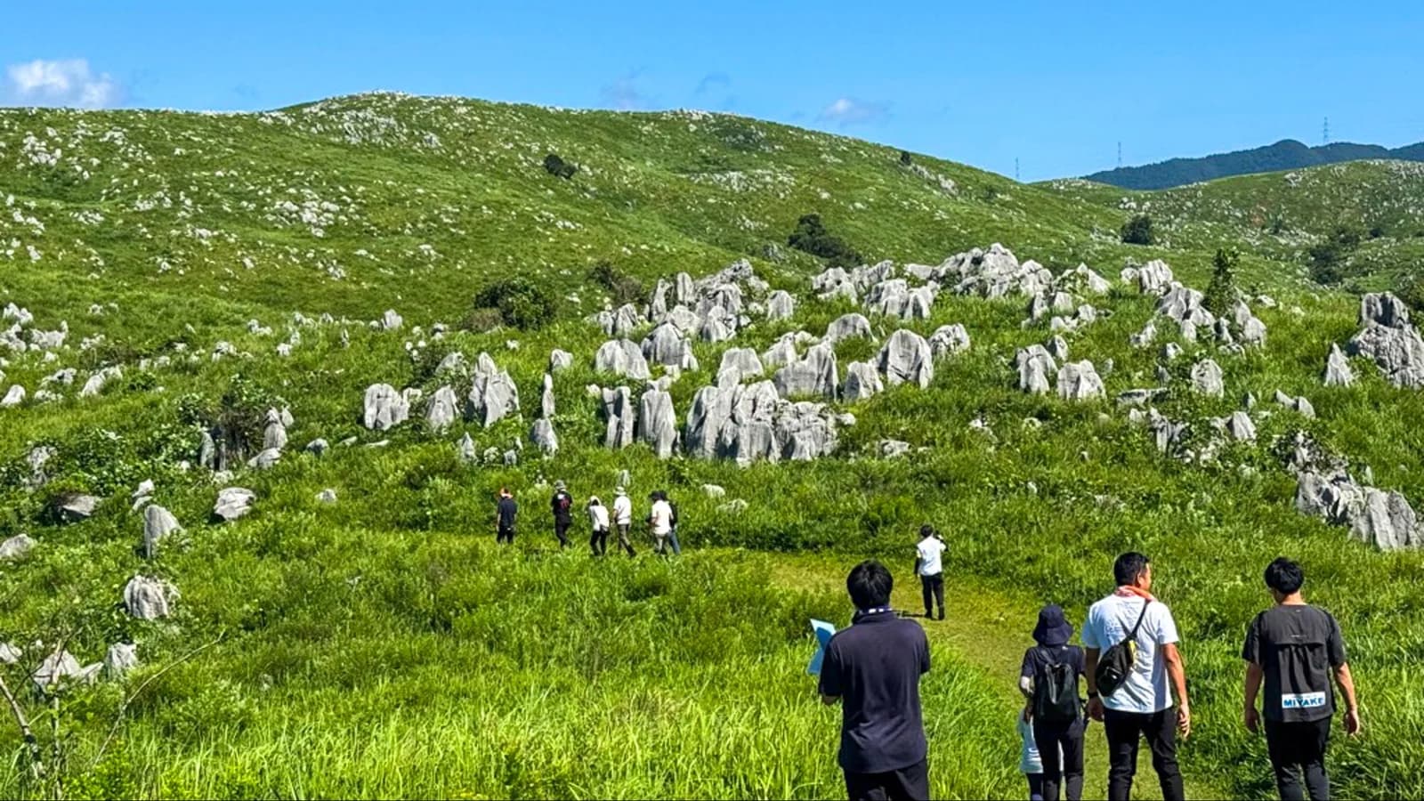 美祢秋吉台カルストウォーク:雄大な秋吉台のカルスト台地を歩きながら、四季折々の自然や景観を楽しめる。