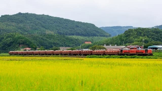 美祢線を走る石灰石貨物列車