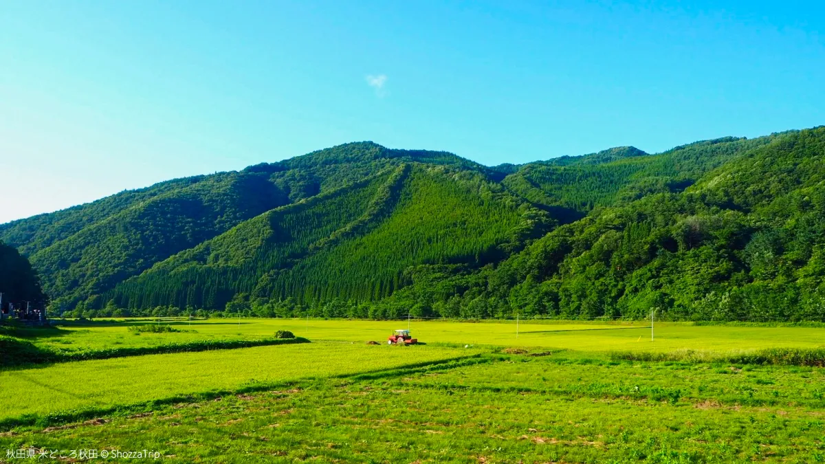 秋田県の風景