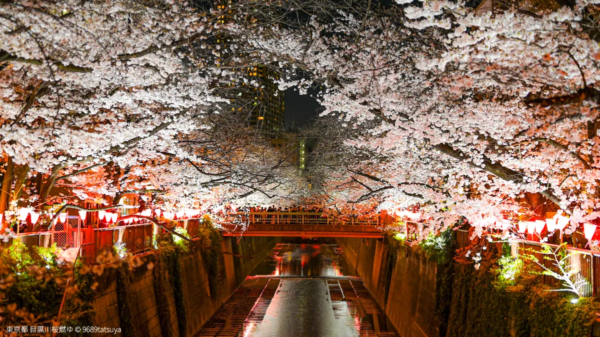 東京都の風景