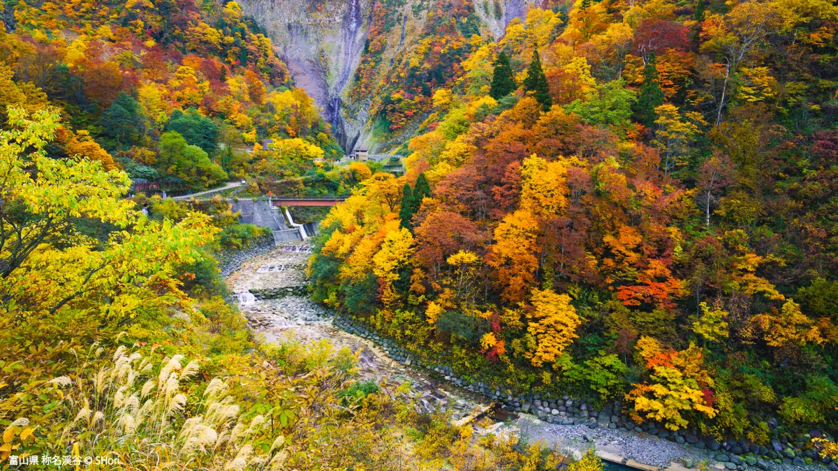 富山県の風景