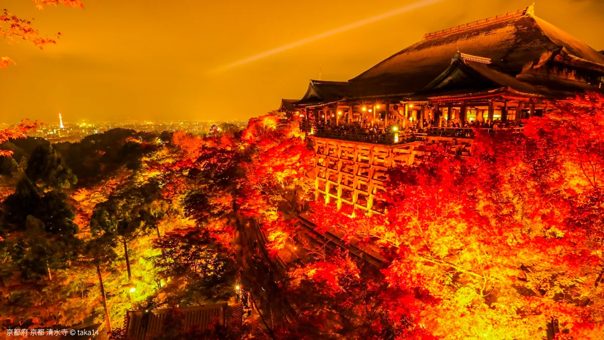 京都府の風景