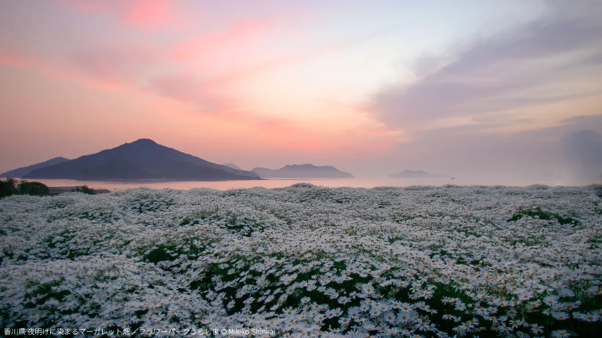 香川県の風景