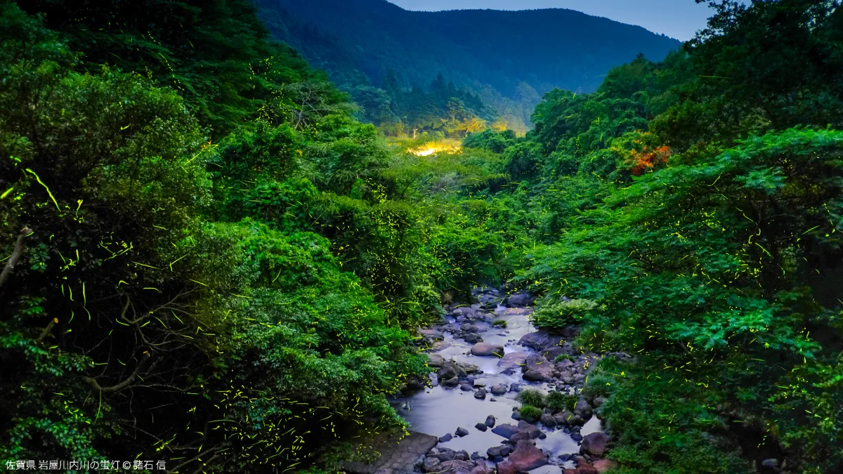 佐賀県の風景